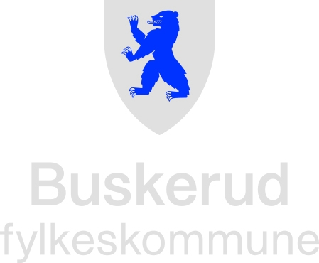 Buskerud Fylkeskommune